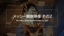 The Videos Observing Messy Playing Vol.2